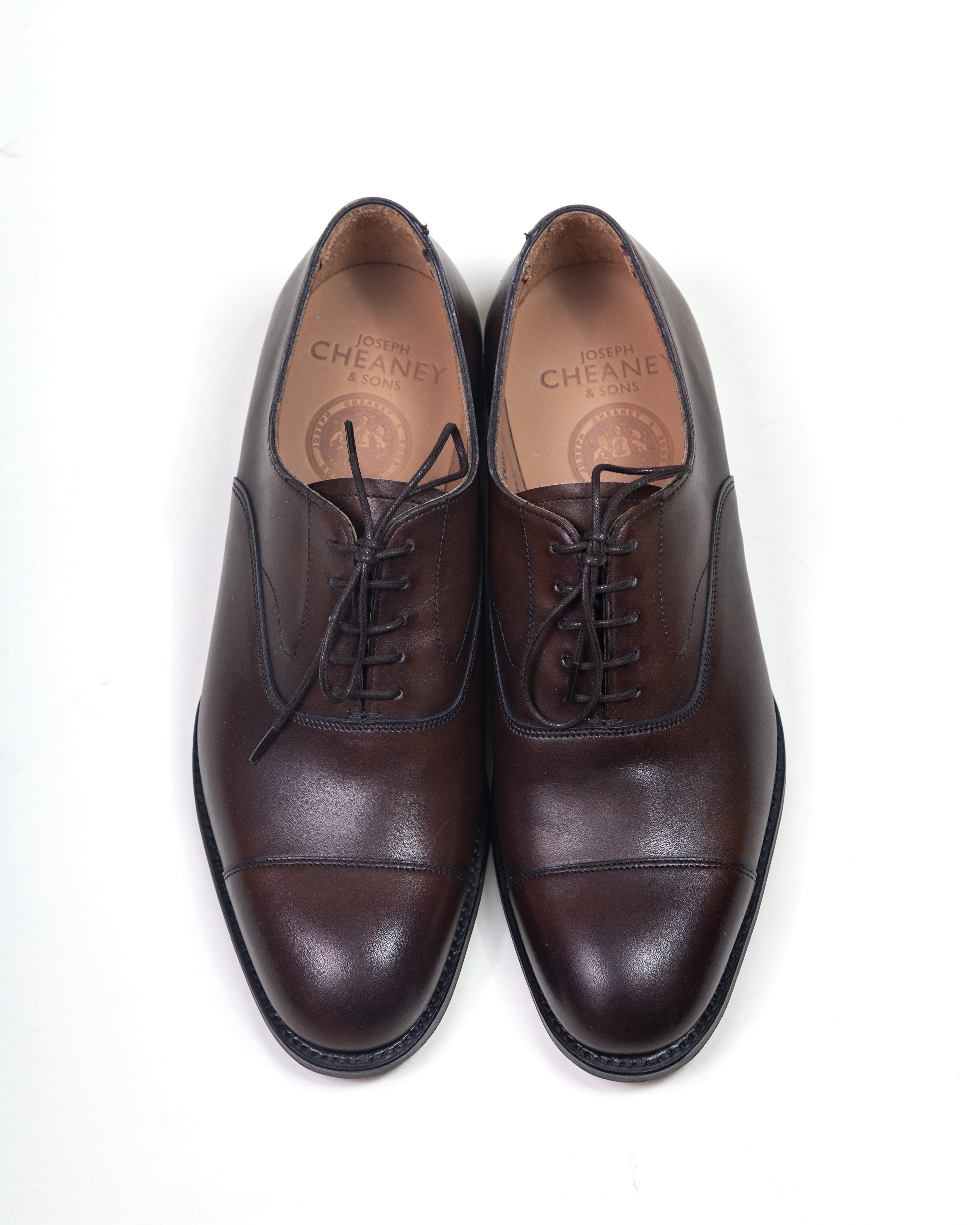 Shoes Alfred Capped Oxford in Mocha Calf Leather / JOSEPH CHEANEY